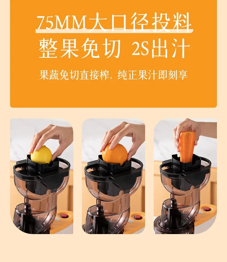 Monda Juicer Multifunktionale Haushaltsschlackensafttrennung
