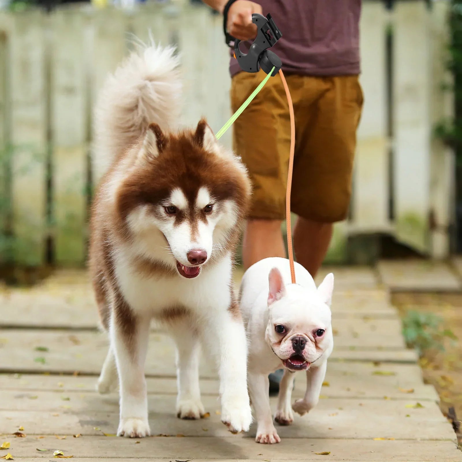 2-in-1-Rollleine für Hunde, 3 m reflektierende Hundeleine zum Spazierengehen