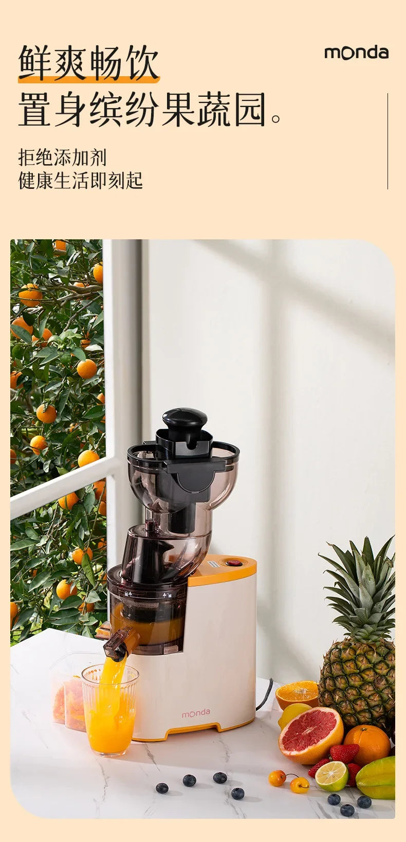 Monda Juicer Multifunktionale Haushaltsschlackensafttrennung