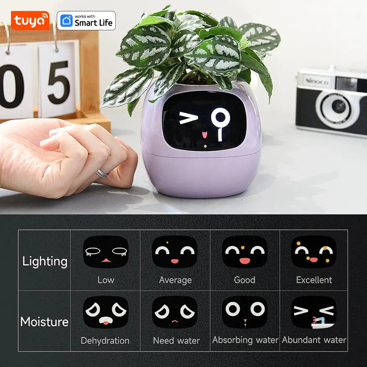 Tuya Efeu Smart Planter