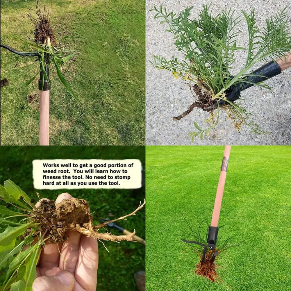 Stand-Up-Unkrautzieher-Werkzeug mit Schraubenlöchern, tragbarer Unkrautkopf-Ersatz, Gartenarbeit, Graben, Unkrautentfernungszubehör