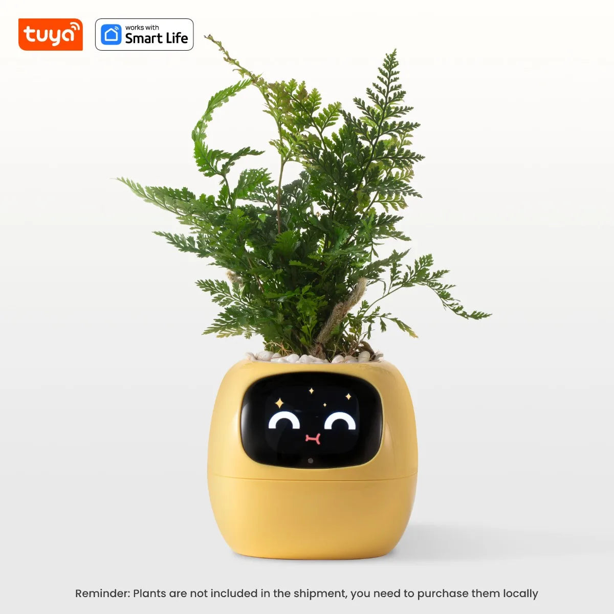 Tuya Efeu Smart Planter