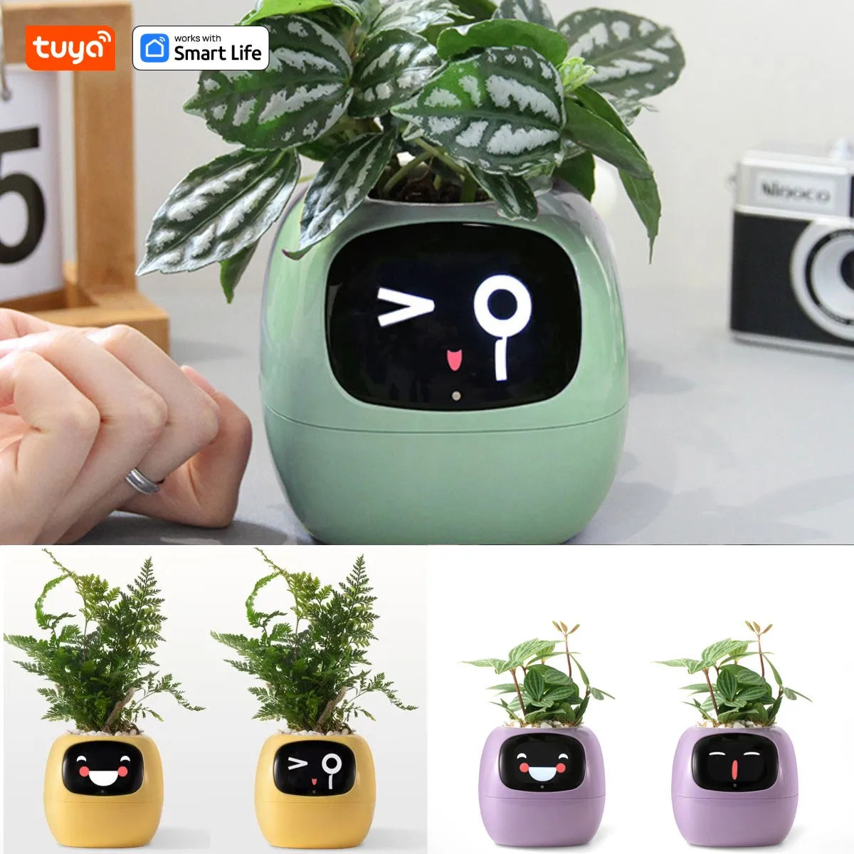 Tuya Efeu Smart Planter