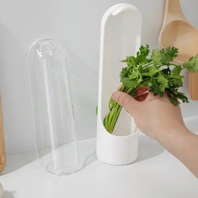 Kühlschrank Kräuter Crisper Saver Pod Container Gemüse Einmachflasche Halten Sie Minze/Kräuter/Koriander/Petersilie/Spargel frisch zu Hause
