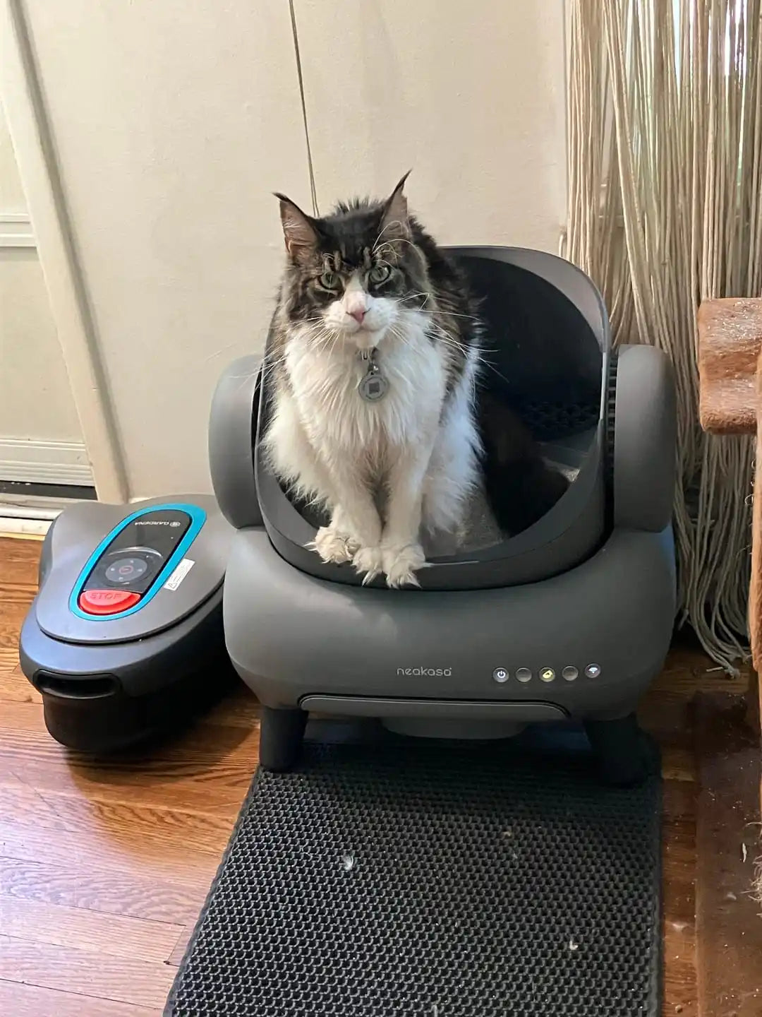 Magic 1 2300 Pa Vakuum-Dampfbügeleisen mit leistungsstarker Absaugung für schnelle Faltenentfernung