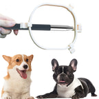 Ausziehbarer Hundekot-Aufsammler – Hygienisch & ohne Bücken