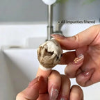Wasserhahnfilter aus Vliesstoff – Rostentfernung, Spritzschutz, 8,5×3,7cm, 50 bis 500 Stück