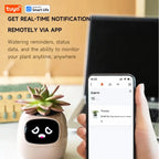 Tuya Efeu Smart Planter