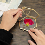 Doppelter Glas-Bilderrahmen, handgefertigt, gepresster Blumenrahmen, Wandbehang, Bilderrahmen für getrocknete Blumen, Heimwand mit Kette – nur Rahmen