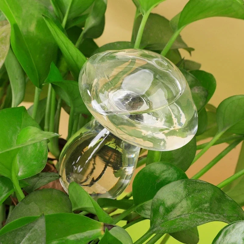 Selbstbewässerungs-Kugeln für Pflanzen – Automatisches Tropfbewässerungssystem aus Glas | 1 oder 2 Stück