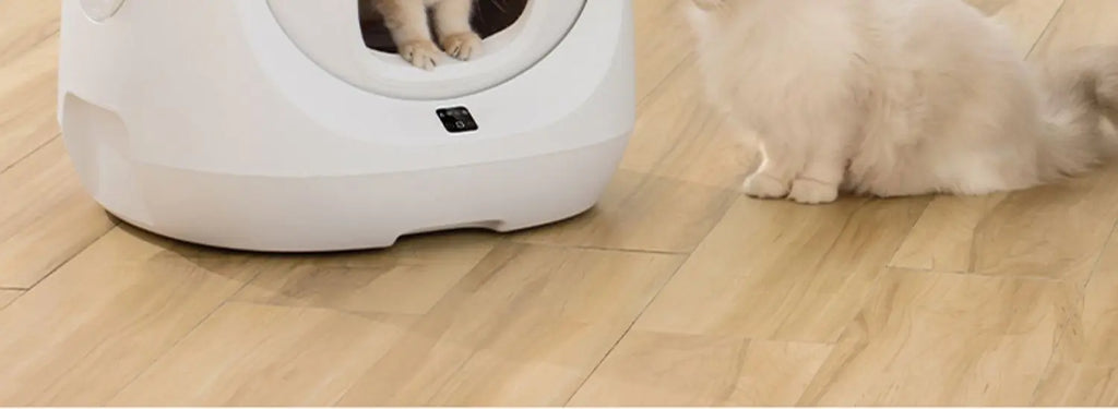 CATLINK Selbstreinigende Katzentoilette, automatische Toilette für Katzen, großer geschlossener Sandkasten, Katzenhaustier, intelligente Artikel, Arenero Gato Cerrado Katzentoilette