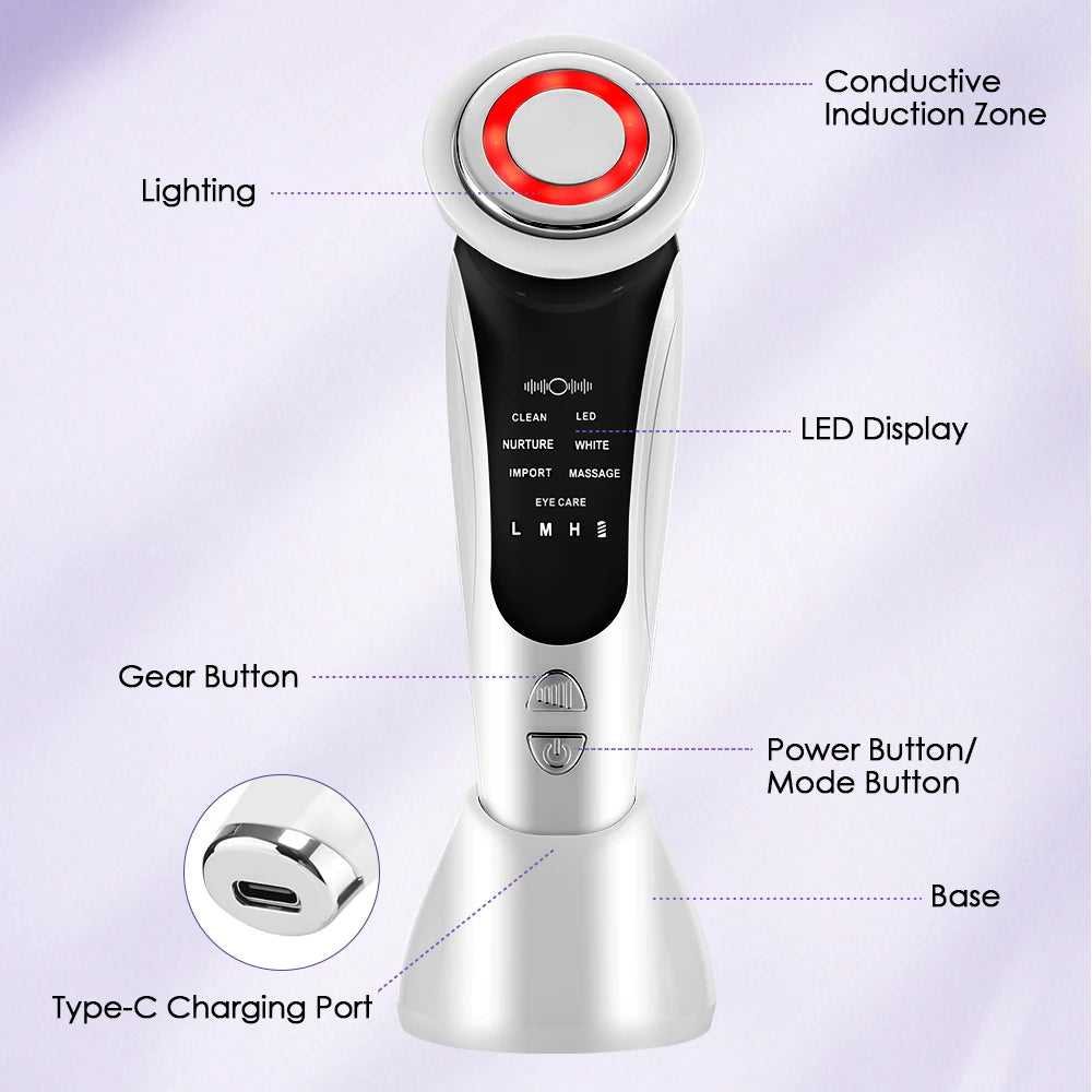 EMS Gesichtsmassagegerät LED Lichttherapie Sonic Ion Vibration Hautstraffung Facelifting Anti Falten Schönheitsgerät Hautpflegewerkzeug