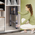 DayPlus Teleskopleiter, Klappleiter aus Edelstahl, tragbar, ausziehbar, Kapazität der Loft-Leiter, maximale Belastung 150 kg/330 lb, EN131