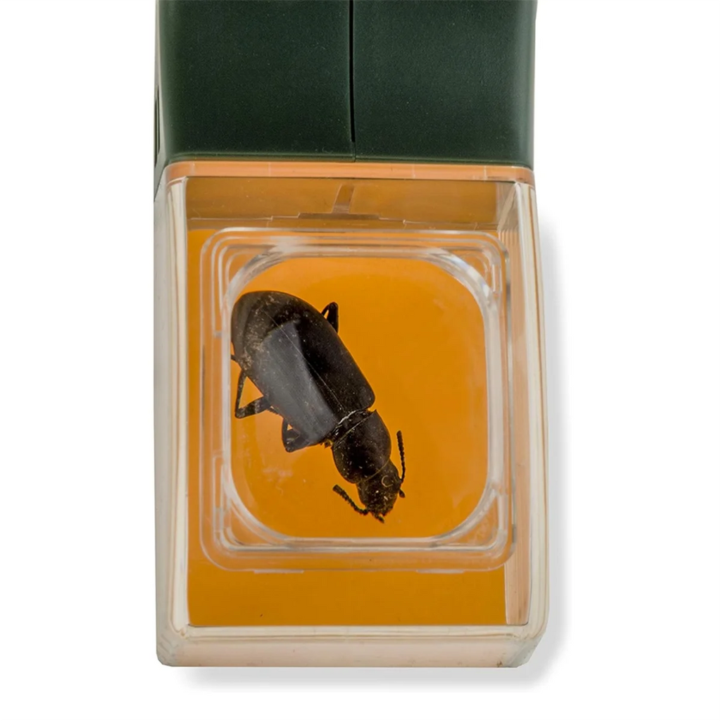 AB53 Verbesserte Version des Insektenfängers, tragbare Bienen-Insektenklemme, Kakerlake, Spinne, Insektenfangwerkzeug mit Lupe