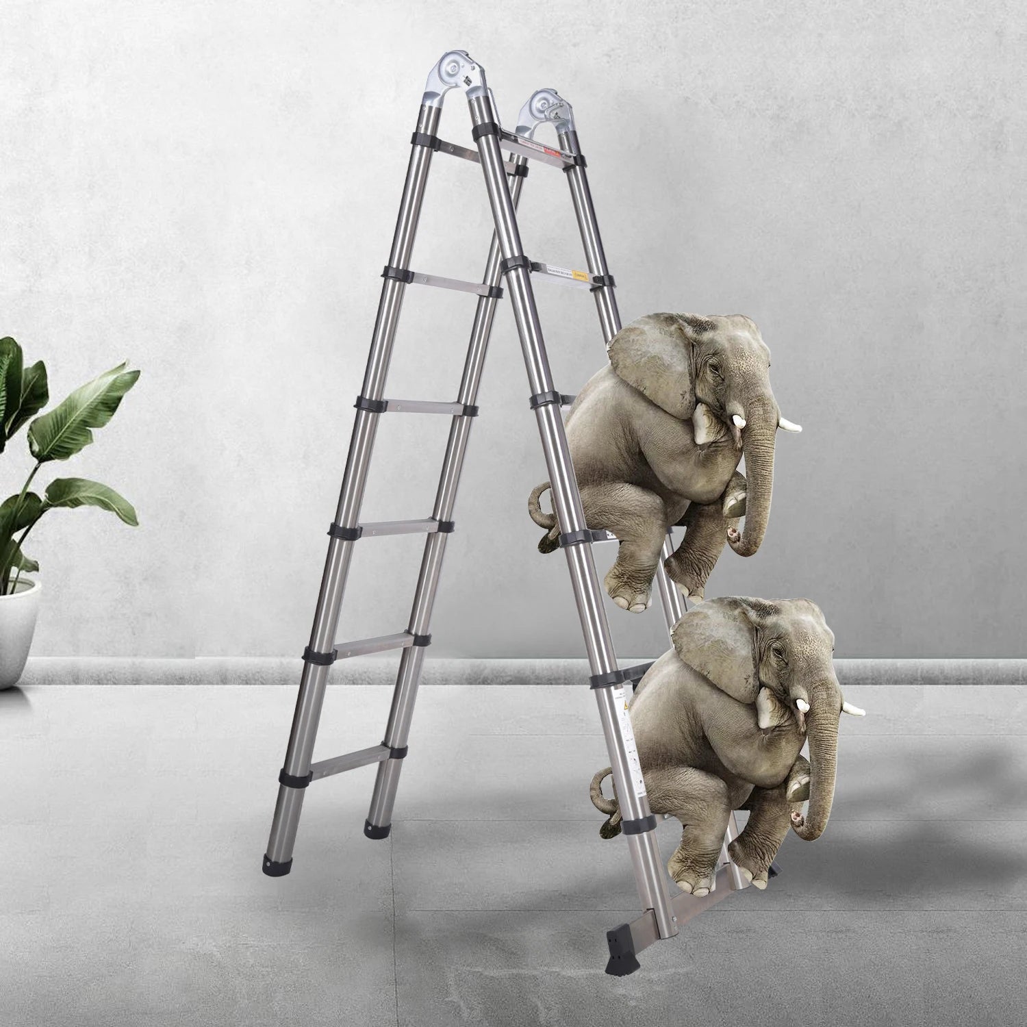 DayPlus Teleskopleiter, Klappleiter aus Edelstahl, tragbar, ausziehbar, Kapazität der Loft-Leiter, maximale Belastung 150 kg/330 lb, EN131