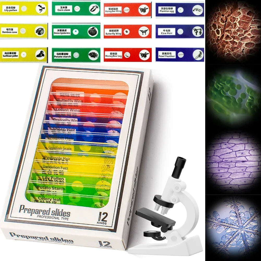 1000x Kinder mikroskop elektronische Lupe Kamera 200 Megapixel pädagogische Wissenschaft Spielzeug mit 8 LED-Licht Foto Video-Funktion