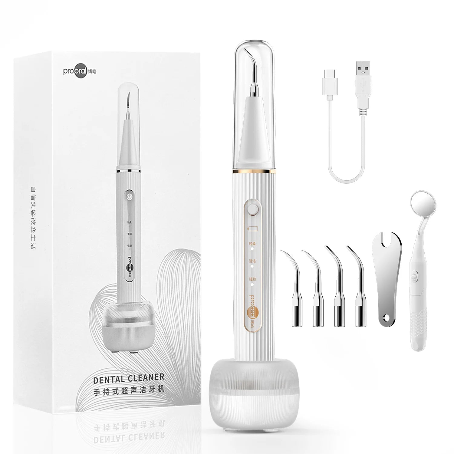 Plaque-/Tartar-Entferner für Zähne, Reinigungsset zum Entfernen von Zahnstein, Verbindung mit App – 4 Köpfe und UV-Desinfektions-Ladeetui