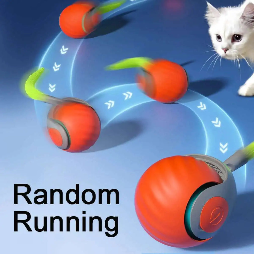 Verkauf Speedy Tail 2,0 Katze Spielzeug Interaktive Katze Spielzeug Ball mit Schwanz Auto Smart Rolling Ball Spielzeug für Katze Haustier Training Imitieren Maus