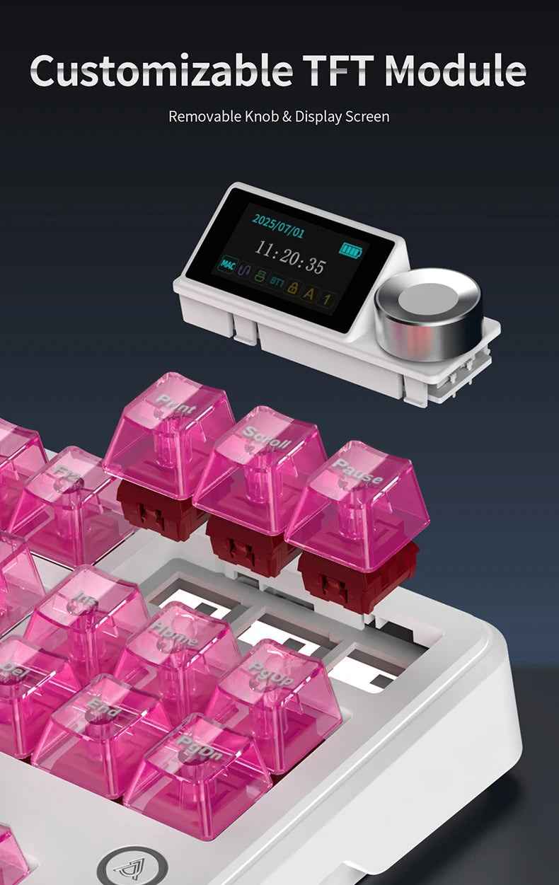 AJAZZ MK87 Drahtlose mechanische Tastatur 75 % Tri-Mode RGB PBT Tastenkappen Hot-Swap-Gaming-Tastaturdichtung 10000 mAh für Gamer PC/Mac