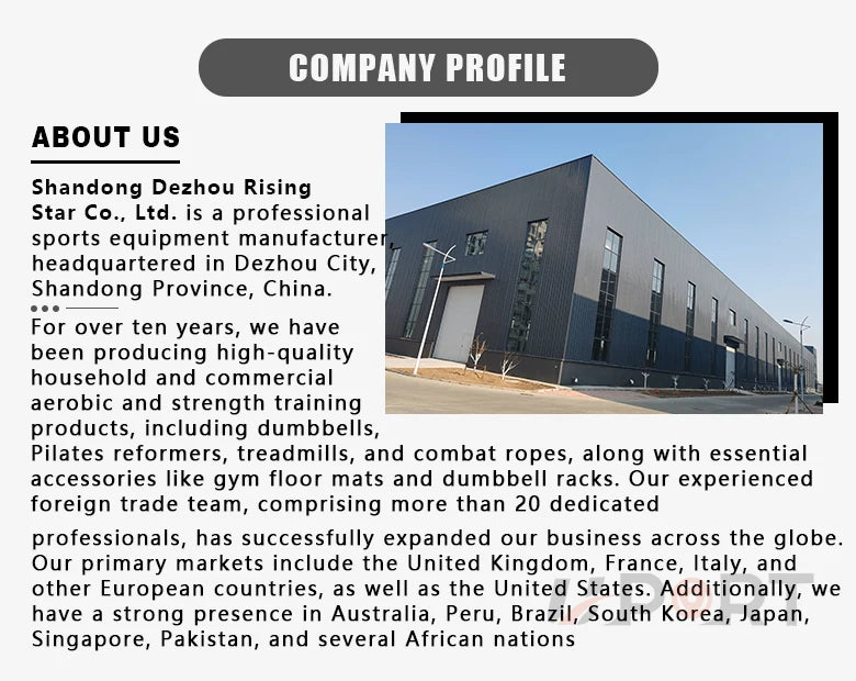 Heimfitness-Hantel-Sets für Damen, hochwertiges, kostenloses Hantel-Armband, individuell für Übungen