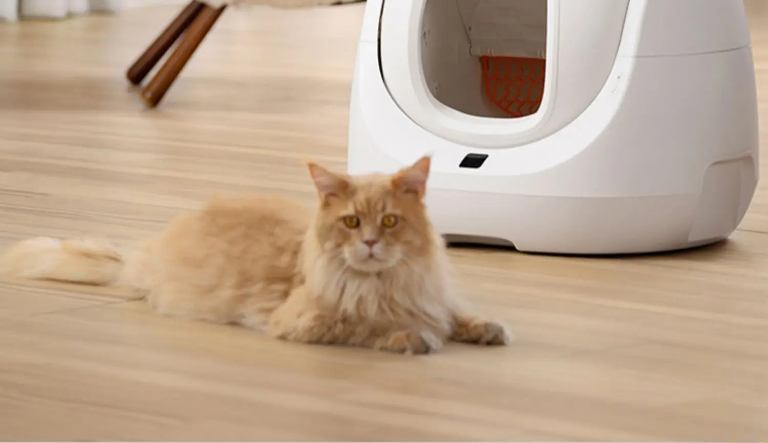 CATLINK Selbstreinigende Katzentoilette, automatische Toilette für Katzen, großer geschlossener Sandkasten, Katzenhaustier, intelligente Artikel, Arenero Gato Cerrado Katzentoilette