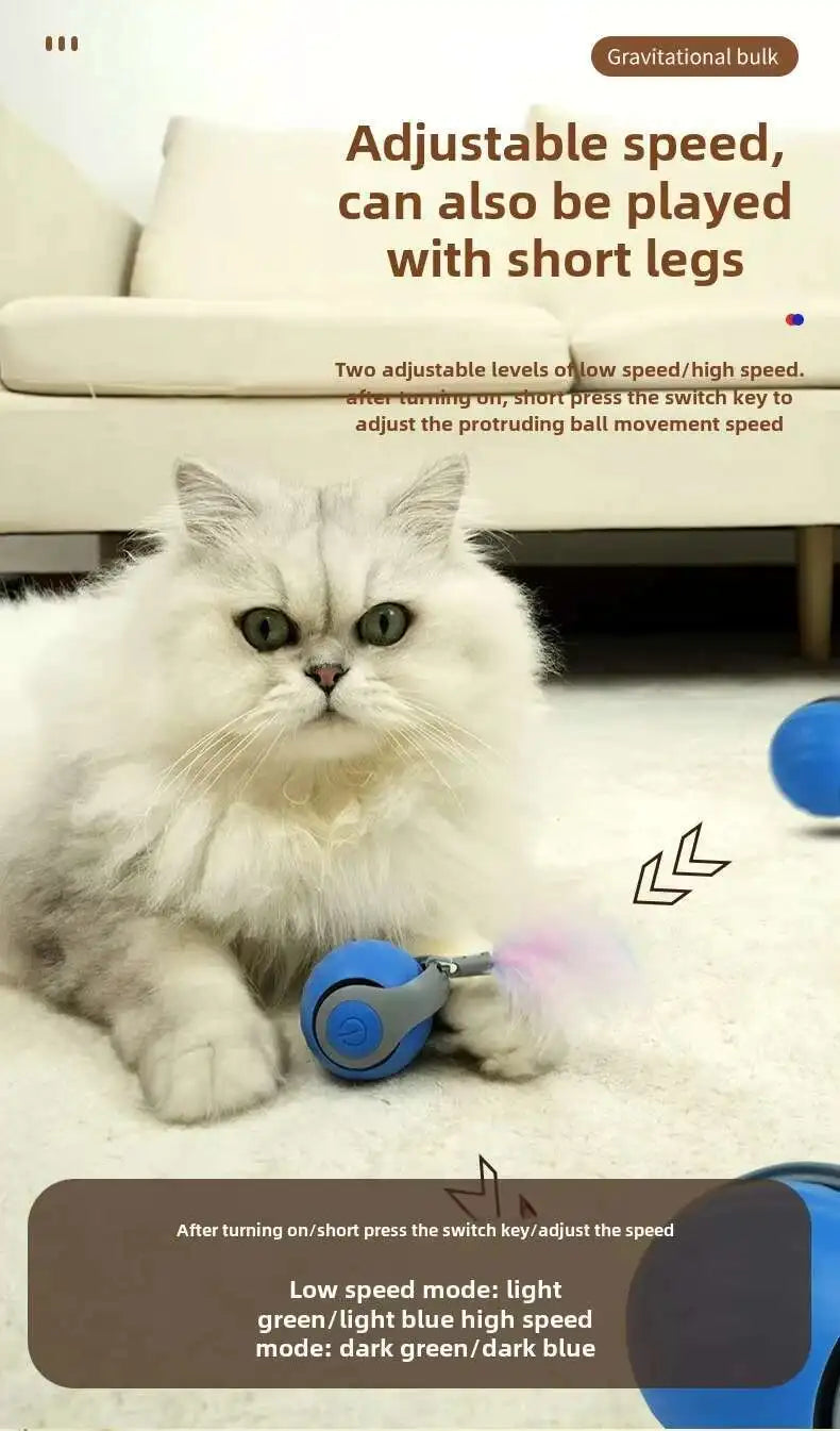 Verkauf Speedy Tail 2,0 Katze Spielzeug Interaktive Katze Spielzeug Ball mit Schwanz Auto Smart Rolling Ball Spielzeug für Katze Haustier Training Imitieren Maus