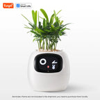 Tuya Efeu Smart Planter