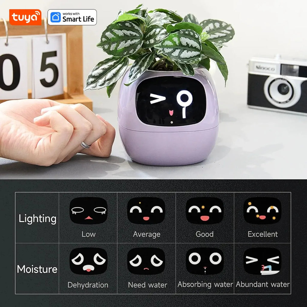 Tuya Efeu Smart Planter