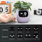 Tuya Efeu Smart Planter