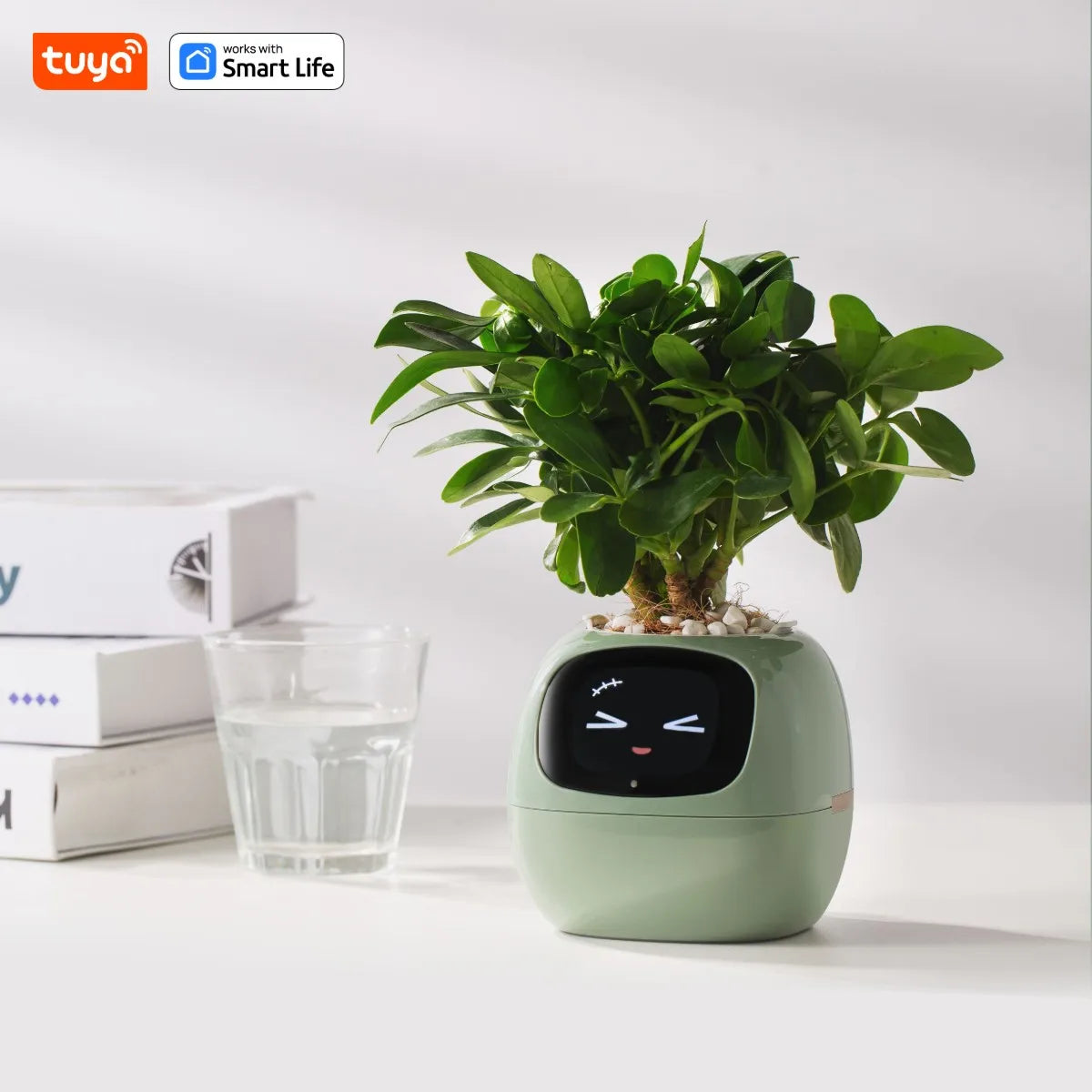 Tuya Efeu Smart Planter