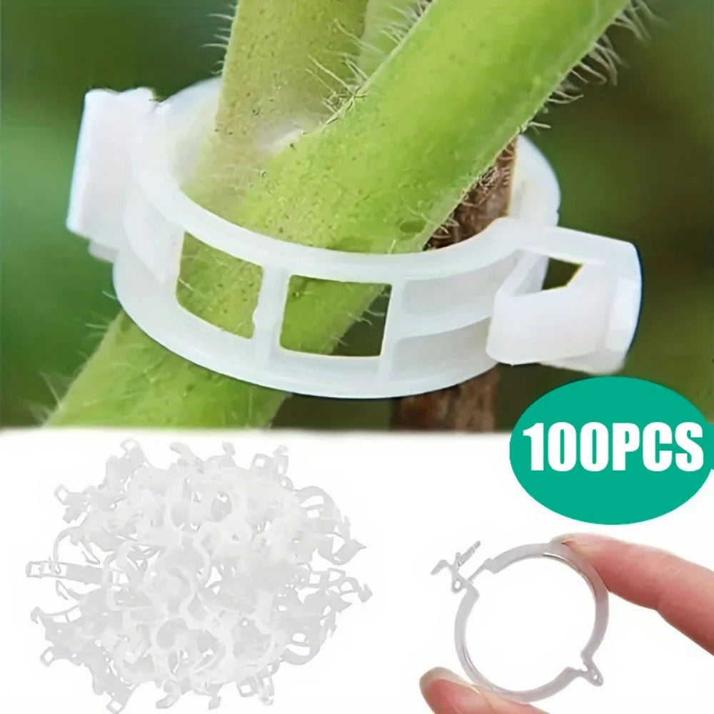 Pflanzenclips Stützverbinder – 100 Stück, wiederverwendbar, Kunststoff, Hellgrün oder Weiß