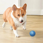 Intelligenter Hundespielzeugball, elektronisch, interaktiv, Haustierspielzeug, beweglicher Ball, USB, automatisch bewegend, springend, für Welpen, Weihnachtsgeschenk, Katzenprodukt