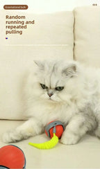 Verkauf Speedy Tail 2,0 Katze Spielzeug Interaktive Katze Spielzeug Ball mit Schwanz Auto Smart Rolling Ball Spielzeug für Katze Haustier Training Imitieren Maus