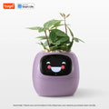 Tuya Efeu Smart Planter