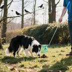 Faltbarer Hundekot-Aufheber aus Edelstahl – Kein Bücken, Kontaktlos, 90cm | Für Kotbeutel ab 23cm | Gassi & Reisen | Blau