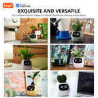 Tuya Efeu Smart Planter