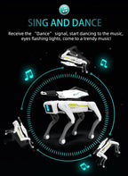 Teeggi Multifunktions-RC-mechanischer Hund, elektrischer RC, intelligenter Roboterhund mit Revolver, Lernspielzeug, bionisches intelligentes Roboter-Spielzeug, Geschenk