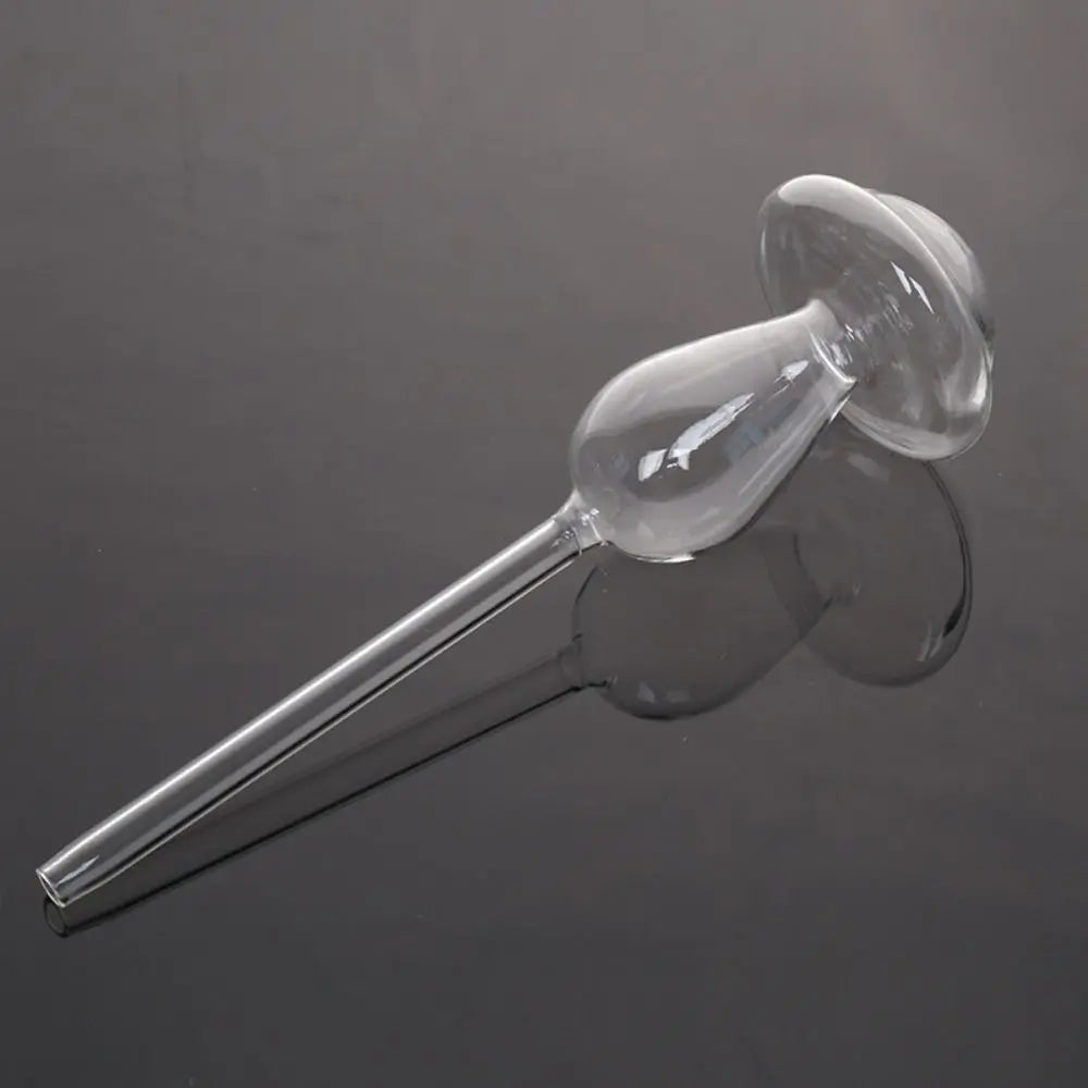 Selbstbewässerungs-Kugeln für Pflanzen – Automatisches Tropfbewässerungssystem aus Glas | 2 oder 4 Stück