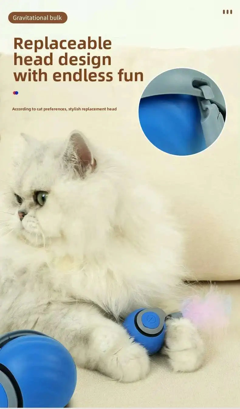 Verkauf Speedy Tail 2,0 Katze Spielzeug Interaktive Katze Spielzeug Ball mit Schwanz Auto Smart Rolling Ball Spielzeug für Katze Haustier Training Imitieren Maus