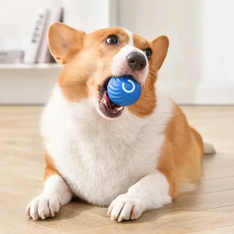 Intelligenter Hundespielzeugball, elektronisch, interaktiv, Haustierspielzeug, beweglicher Ball, USB, automatisch bewegend, springend, für Welpen, Weihnachtsgeschenk, Katzenprodukt