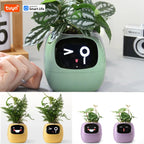 Tuya Efeu Smart Planter